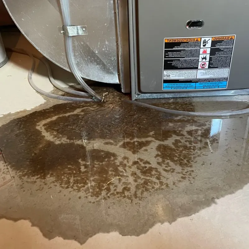 Pipe Burst and Leak Restoration in Concord, NY